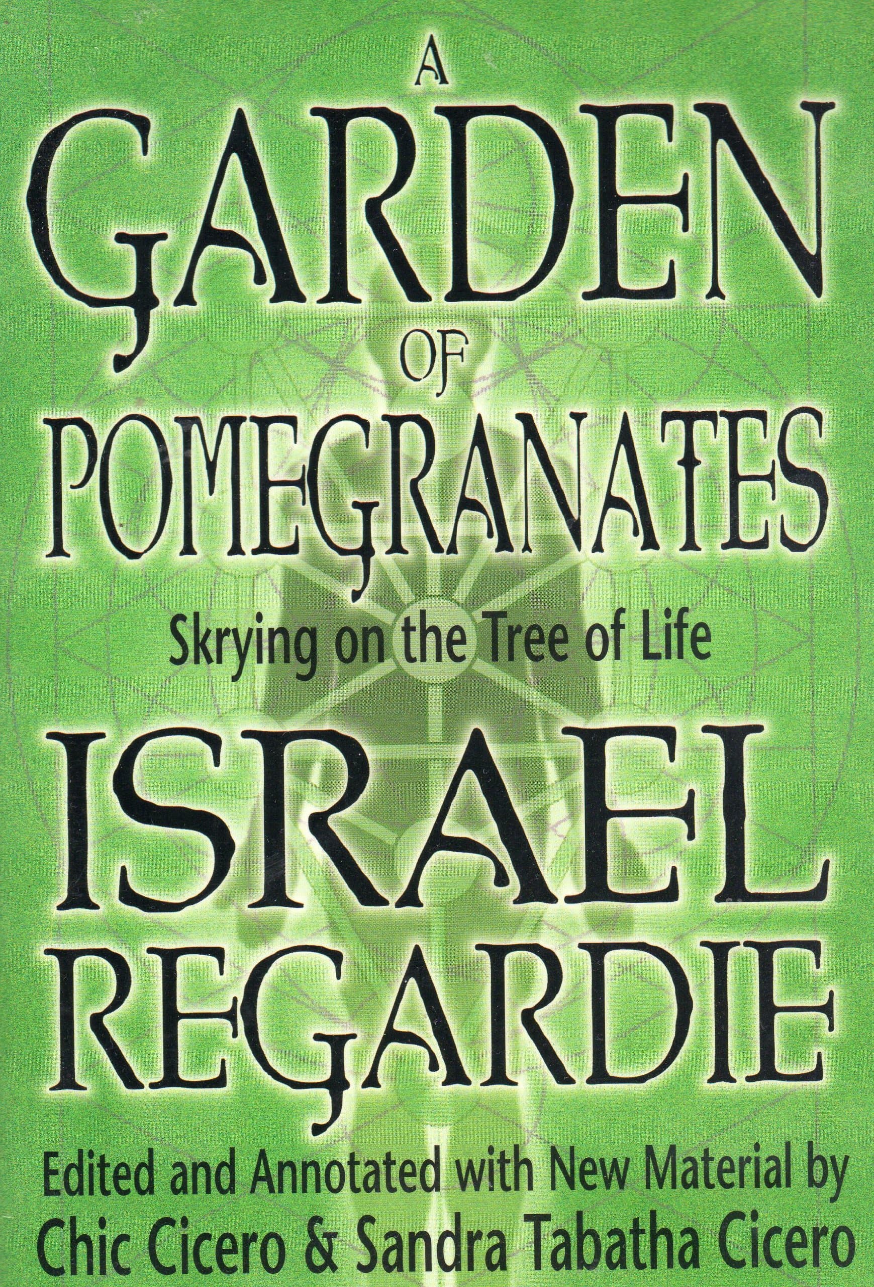 Garden of Pomegranates: Life And Times Of An African Paperback – Illustrated, 1 March 1999