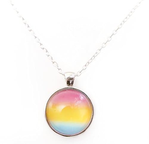 Circular Silver Colored Pansexual Pendant on Chain