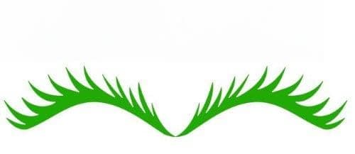 Eyelash Green Decal Set for VW Mini Coopers Dodge Neon and Others