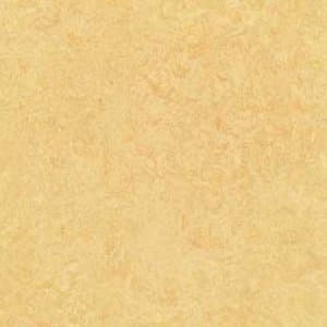 Forbo Marmoleum Butter Natural Linoleum Tile Flooring - 13" x 13" x 0.08" (53.82 sf / box)
