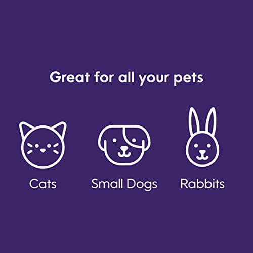 Litter Genie Plus Pail (Black) | Cat Litter Box Waste Disposal System for Odor Control | Includes 1 Square Refill Bag