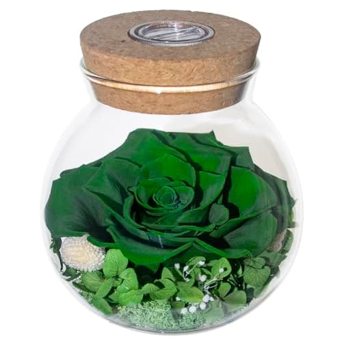 roliys Preserved Real Roses with Colorful Mood Light Wishing Bottle,Eternal Rose,Never Withered Flowers,for Bedroom Party Table Decor, Christmas Decorations,a Gifts for Women 4.3inch1pcs (Green)