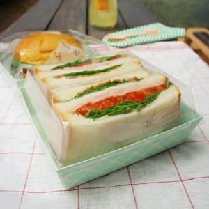 Green Sandwich Tray with Lid Take-out Carry-out Picnic Box