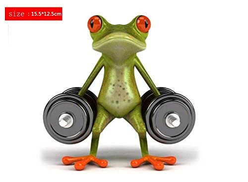 SKS Distribution® 3D BodyBuilding Weightlifting Frogs Funny Car Stickers car styling vinyl decal sticker decoration High temperature & water Proof