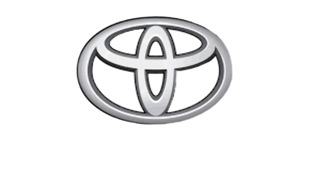 Toyota PT925-89180 Tube Step (Predator), 1 Pack