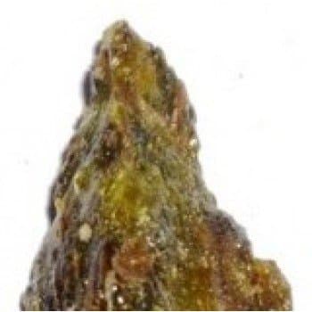 ShubhBhakti - Dikamali 100 Grams