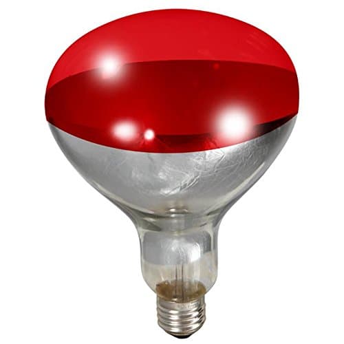 LITTLE GIANT Heat Lamp Bulb Red Bulbs 250 Watt