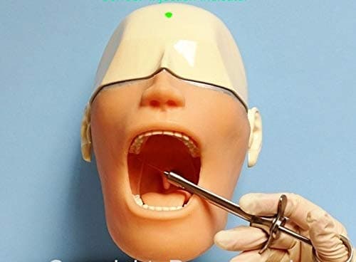 Dental Anesthesia Manikin Training Simulator Model