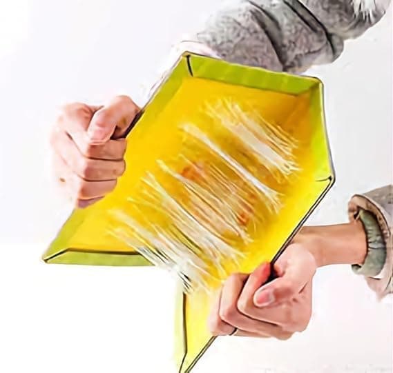 Raenso Sticky Trap (Yellow, 6.5 x 8 Inch, Large Size) (2)