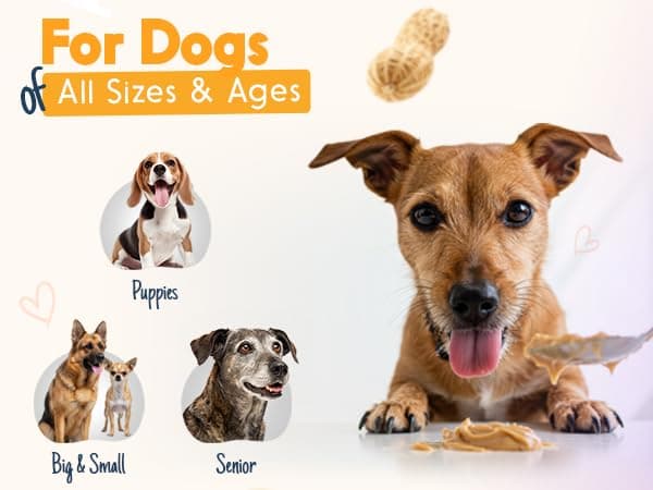 BUDDY BUDDER Banana Split, 100% Natural Dog Peanut Butter, Dog Treat, Made in USA (17oz)