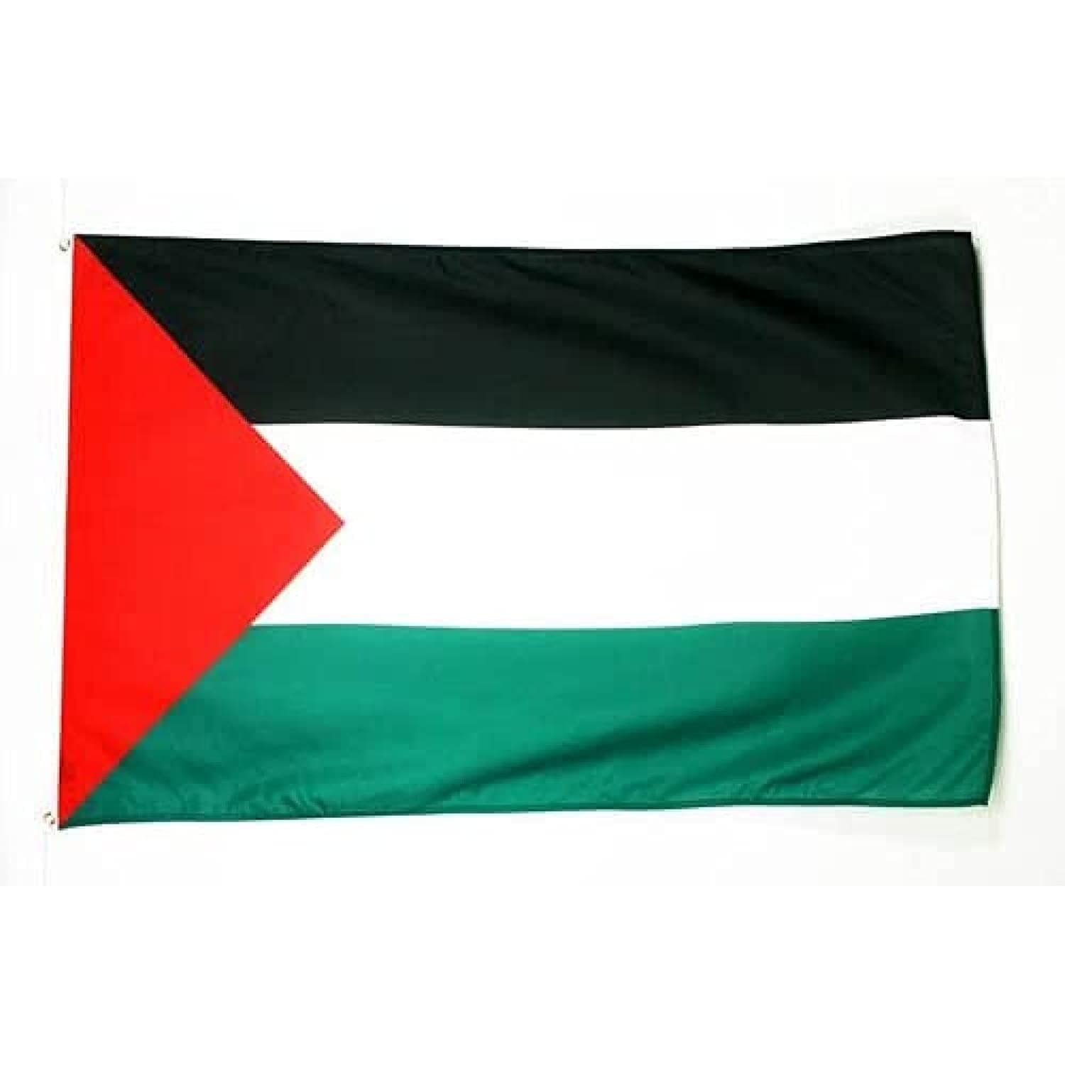 AZ FLAG - Flag of Palestine - 3x5ft - Light Polyester Palestine Banner with 2 Brass Eyelets - Fade Resistant - Vibrant Colors - 3' x 5' - 150x90cm