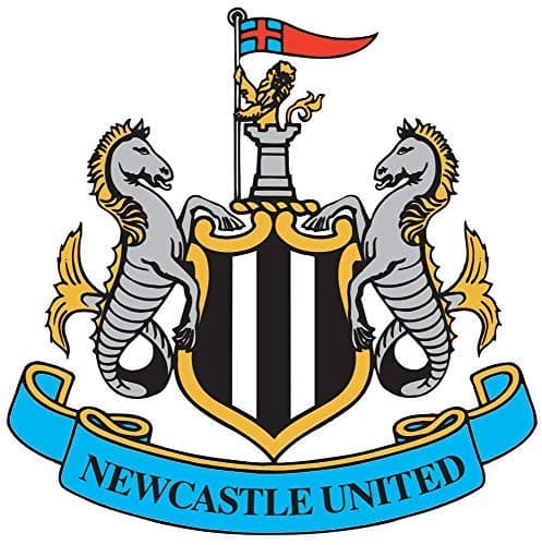 StickersPack of 6-2" Stickers -Pack of 6-2" Stickers - Newcastle United F.C. Soccer Sticker