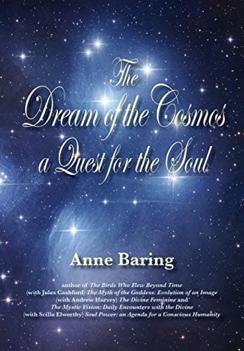 The Dream of the Cosmos: A Quest for the Soul Paperback – Import, January 1, 2013