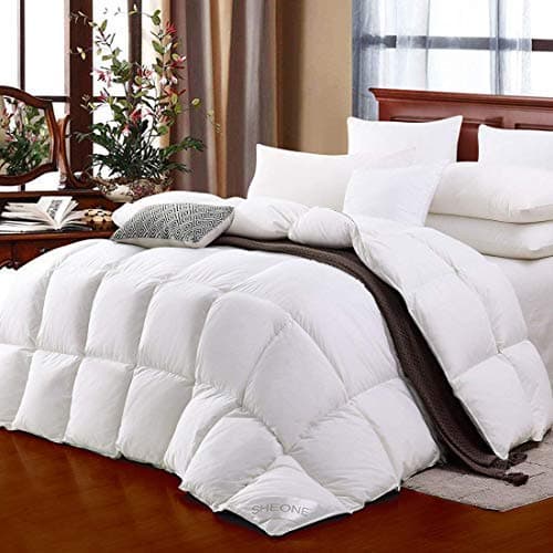 All Seasons Lightweight, White Goose Down Comforter 650 Fill Power 100% Cotton Shell Down Proof-Solid White Hypo-allergenic, Duvet Insert with Tabs (Queen)