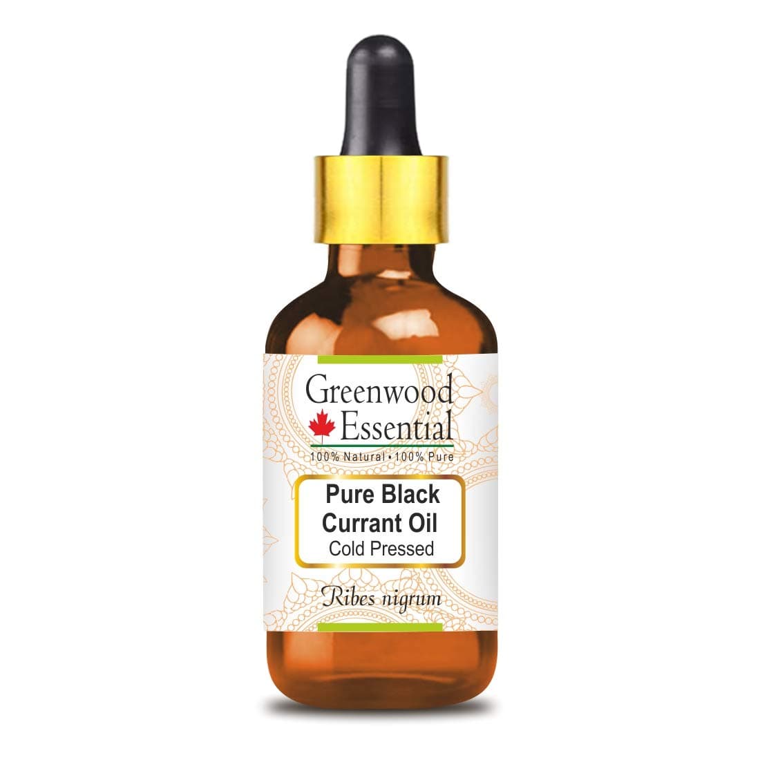 Greenwood Essential Pure Black Currant Oil (Ribes nigrum) with Glass Dropper 100% Natural Therapeutic Grade Cold Pressed 15ml