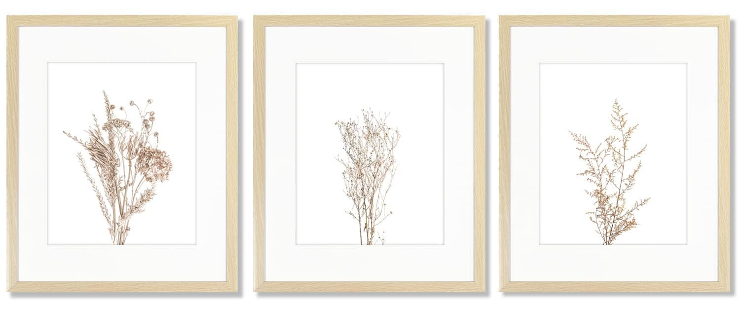 Botanical Wall Art Framed, Boho Farmhouse Decor, Rustic Plant Pictures Paintings, Modern Minimalist Theme Prints Ready To Hang for Living Room Bedroom Bathroom Kitchen Decor (11x14Inch,Framed Art)