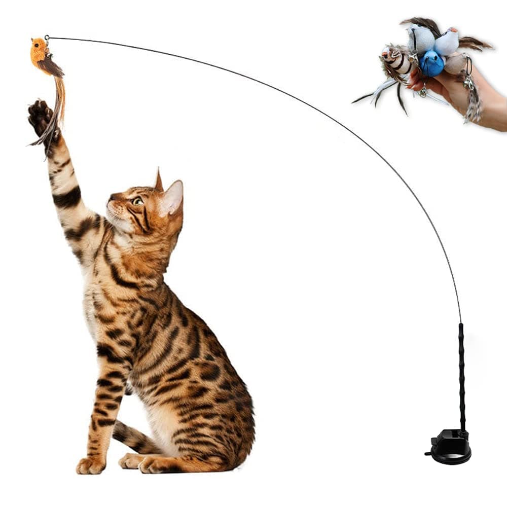 Leo's Paw Interactive Bird Simulation Cat Toy Set Realistic Colorful Feathers Bells on Wand Self-Holding Suction Base Stimulating Real-Life Flying Bird Impression Hunting Exercise Play (w. 5 Birds)