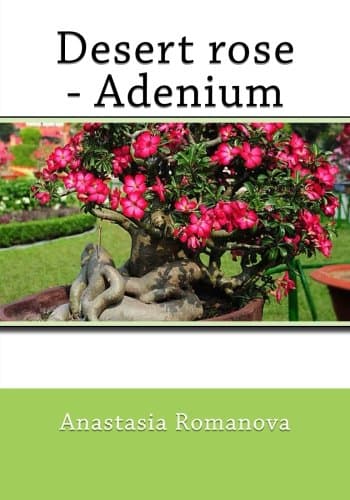 Desert rose-Adenium Paperback – Large Print, June 17, 2016