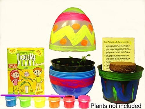 TickleMe Plant Egg Shaped Terrarium with Paint Set! Paint This Large 6 inch Egg and Grow The Plants Inside. The Leaves Close Up When Tickled. It Can Produce Sparkling Pink Flowers.