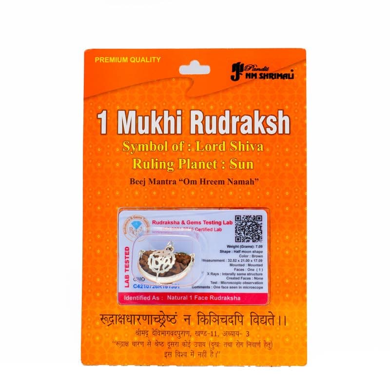 PANDIT NM SHRIMALI Certified 1 Mukhi Rudraksha/One Faced Rudraksha Pendant Original Rudraksha Locket (Color : Brown)