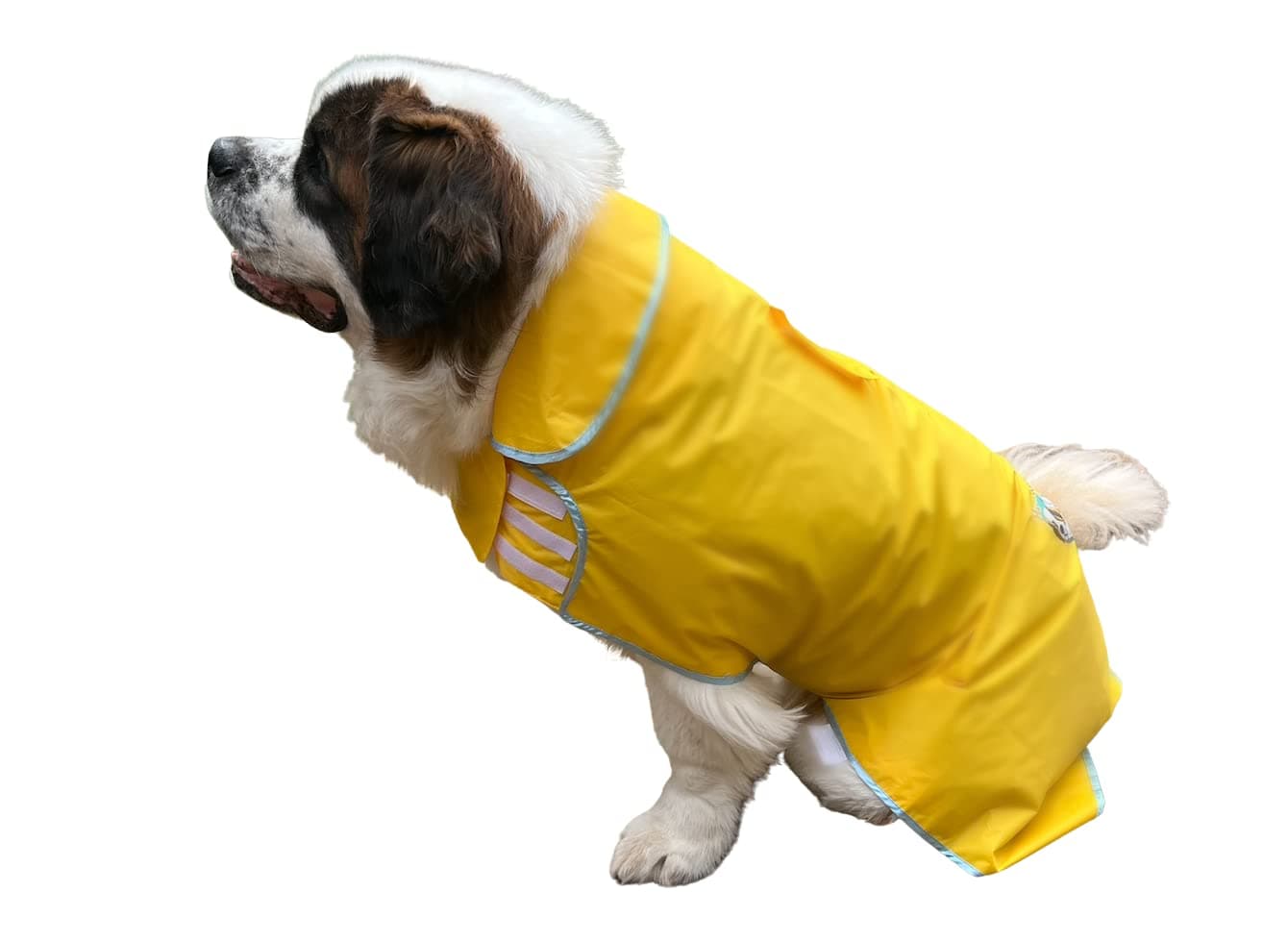 HugeHounds Extra Large Dog Yellow Rain Rover Raincoat with Half Hood XL- Waterproof-Includes a Travel Carry Bag