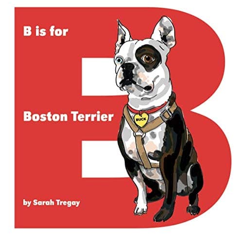 B is for Boston Terrier Paperback – Large Print, March 18, 2011