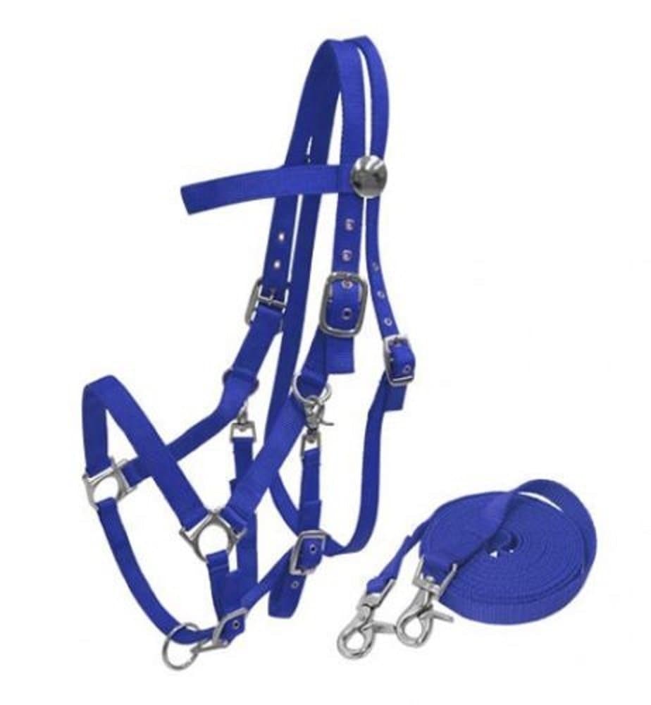 Heavy Duty Soft Nylon Horse Size Halter Browband Bridle Combo Trigger Snaps Cheeks & Reins (Royal Blue)