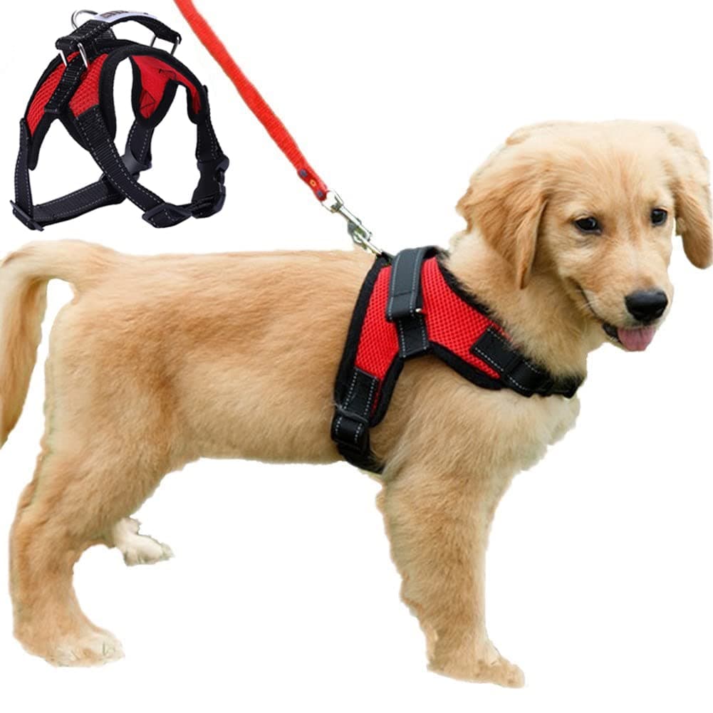 No-Pull Padded Adjustable Puppy Dog Training Walking Soft Harness Vest (M, Red)