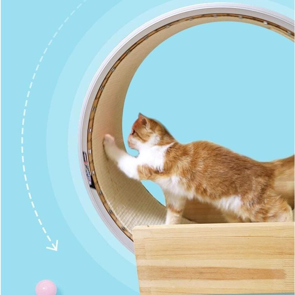 OMLTER Solid Wood Multifunctional Cat Treadmill, Large and Durable Sports Running Wheel, Suitable for Cat Indoor Sports Cat Climbing Frame