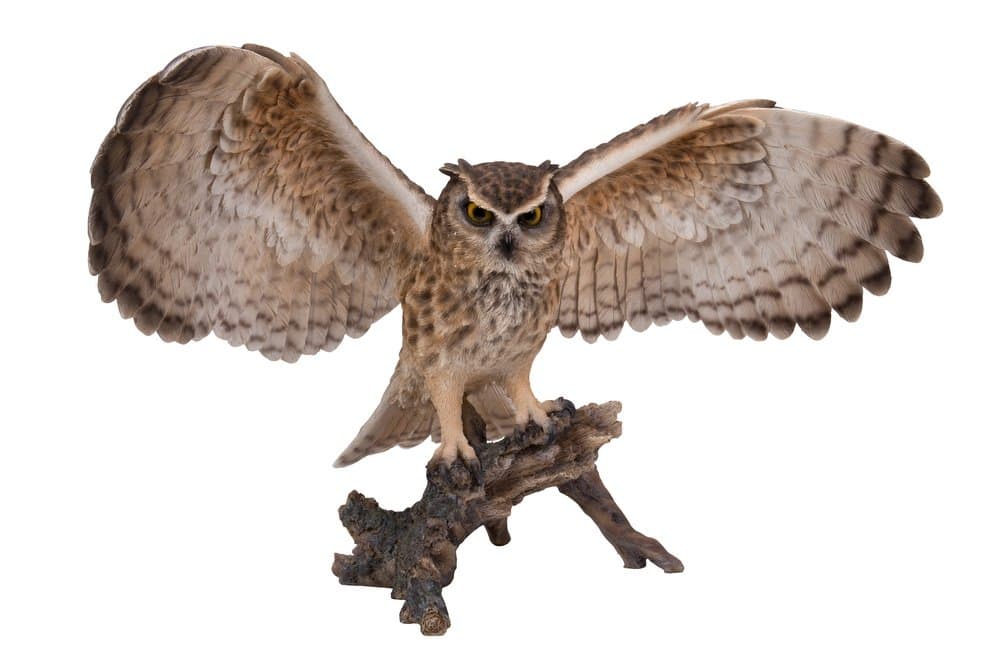Eagle Owl on Branch with Wings Out Statue