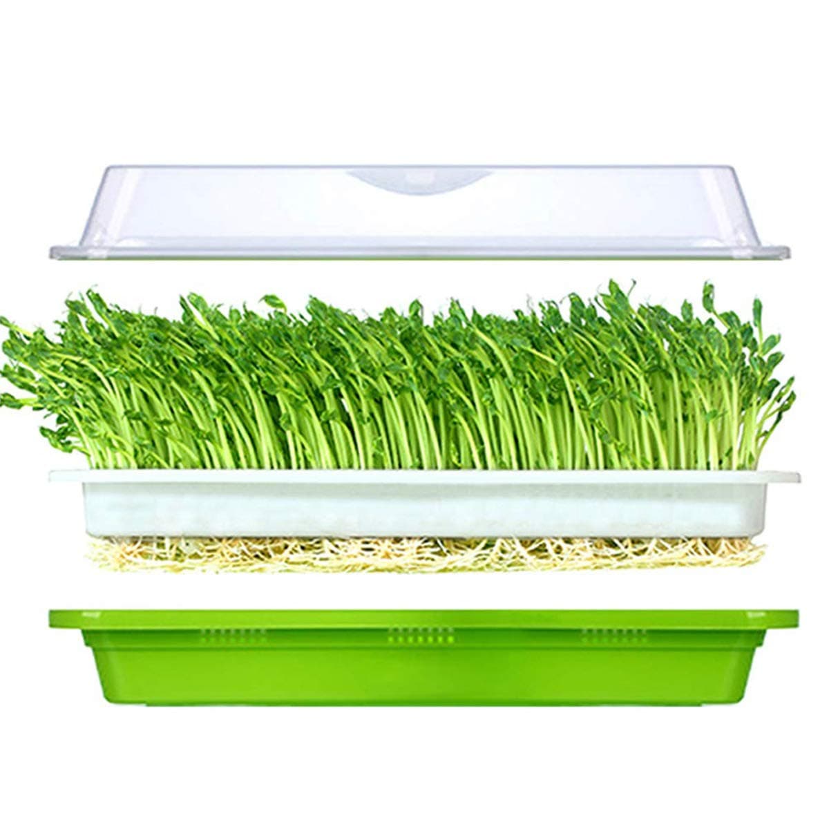 Seed Sprouter Tray with Lid BPA Free Bean Sprout Grower Germination Kit Extra Small Hole