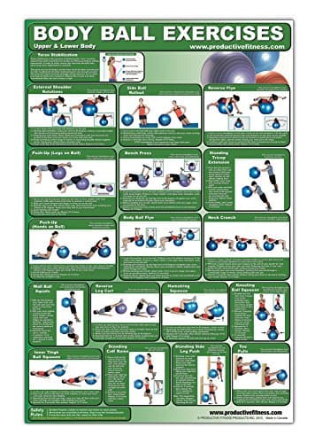 Laminated Fitness Ball Poster - Upper & Lower Body Exercises - Created by University Accredited Fitness Experts - Stability Ball Exercises for Legs ... - Tone and Tighten Arms, Chest and Back
