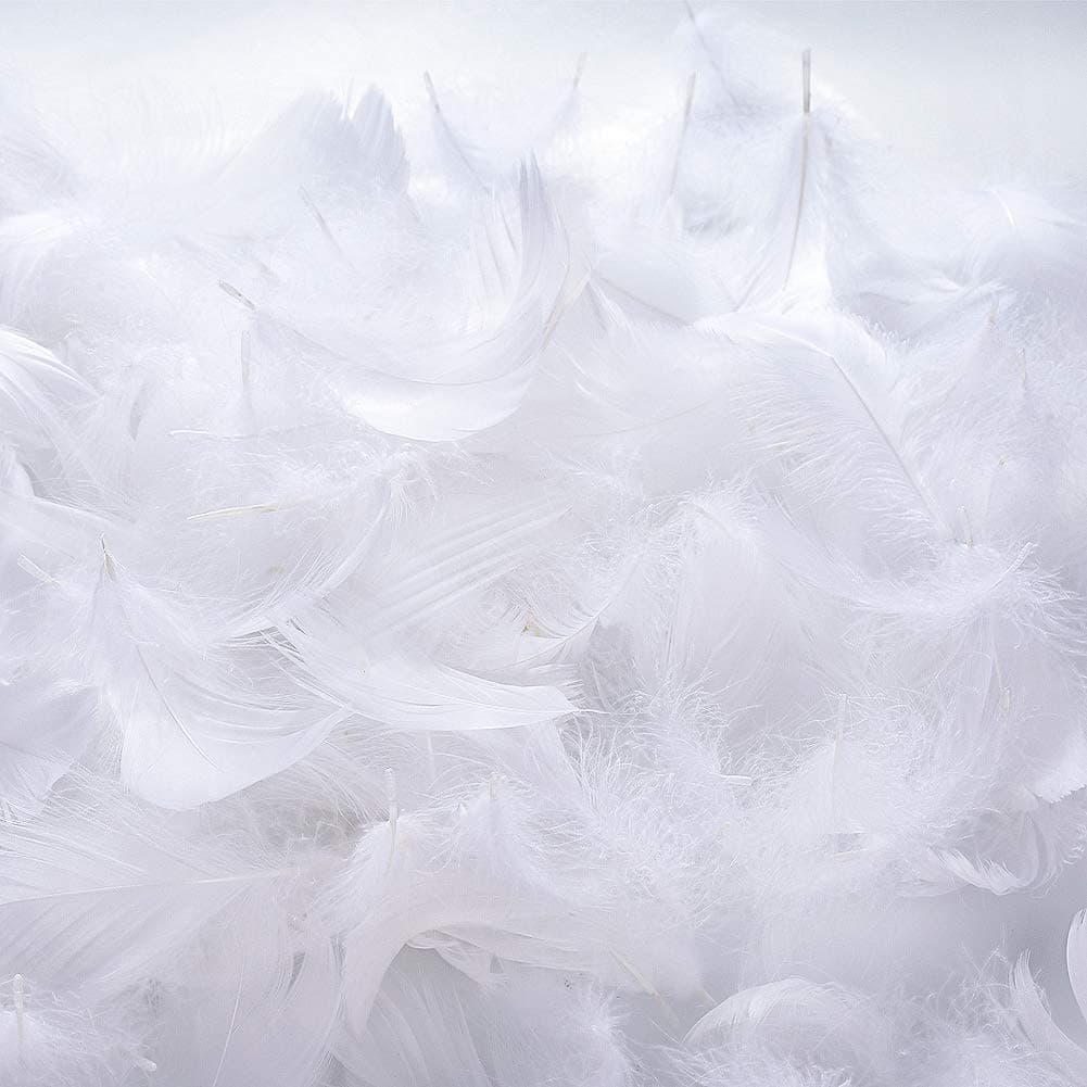 BTNOW 800 Pieces White Feather Fantasy Ornament Create White Decoration