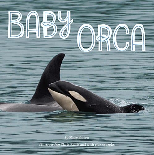 Baby Orca Kindle Edition