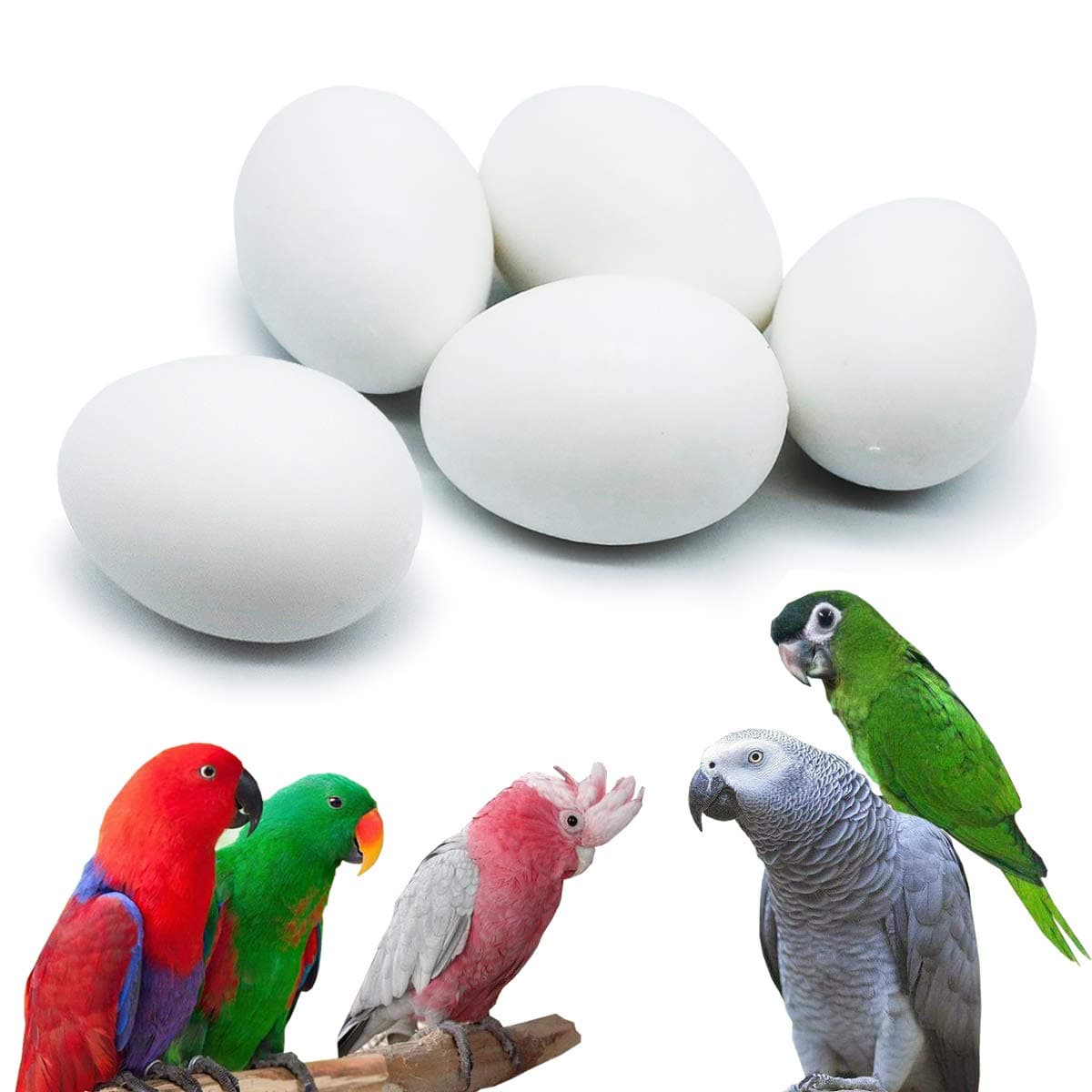 FOIBURELY 5 Pcs Solid Parrot Dummy Eggs Hatching Eggs Mini Macaw Amazon Cockatoo African Grey Eclectus. Trick The Birds to Stop Laying Eggs, Dummy Eggs(37mm27mm)