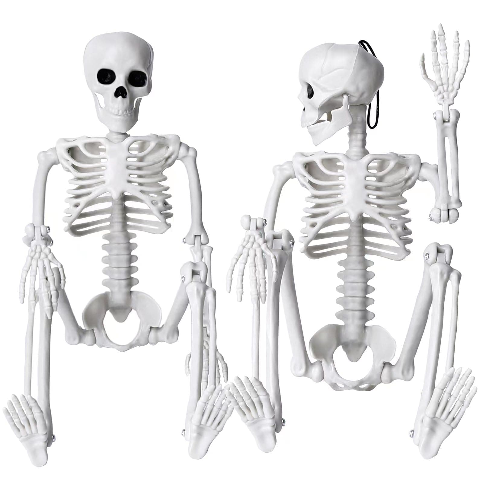 XIMISHOP 2pcs Skeleton Halloween Decoration, 16” Full Body Posable Halloween Hanging Plastic Skeleton Decoration with Movable Joints for Halloween Decoration Indoor Outdoor, White