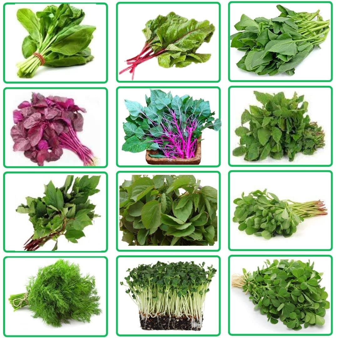 SamsGardenStore Organic Vegetable Seeds, Leafy VegetableSeeds for Home Gardening, Fresh Indian VegetableSeeds with 12 Varieties, Easy to Grow Organic Veggies Seeds,120 Grams