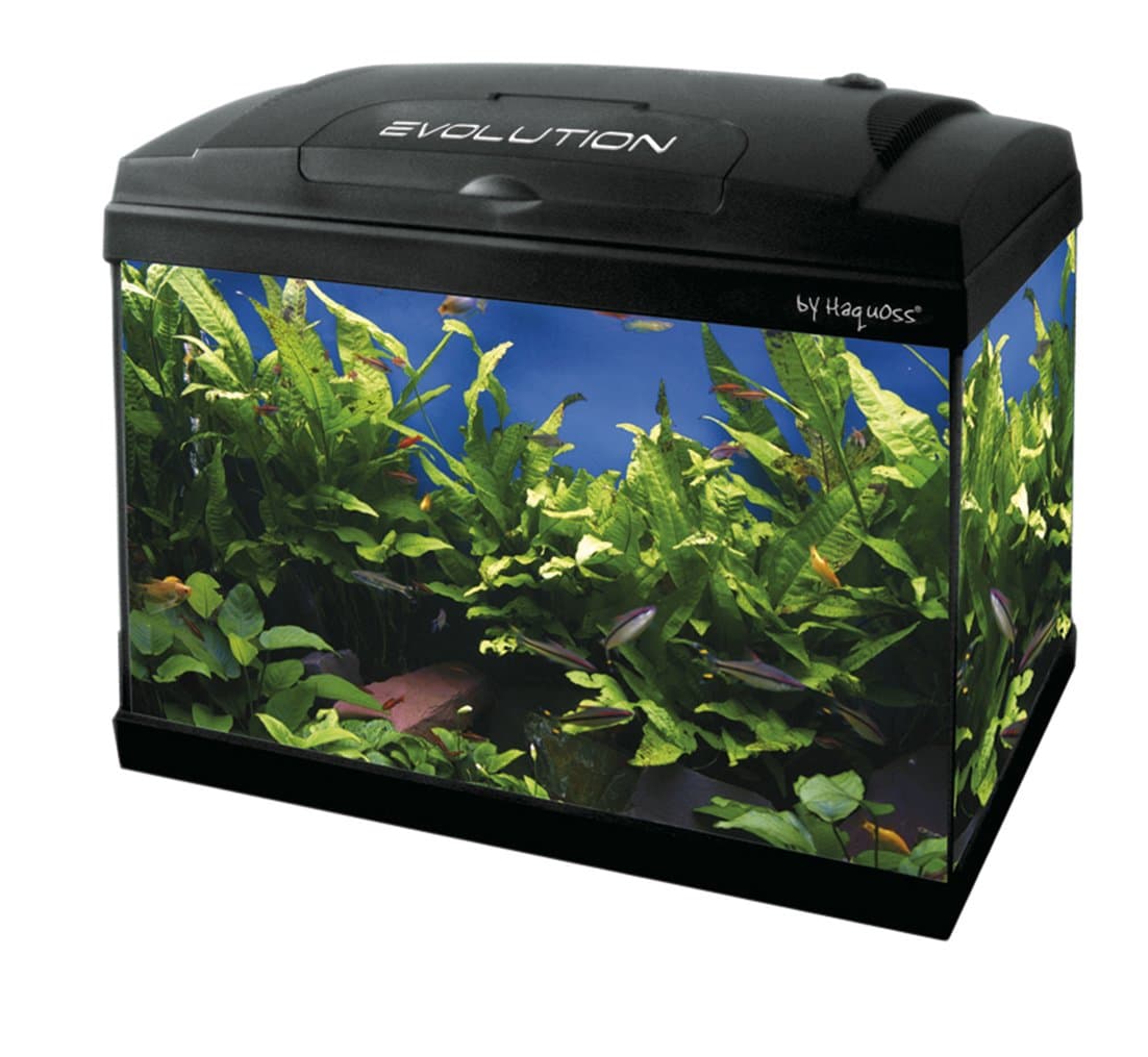Haquoss Evolution 40 Aquarium with Internal Filter A Laser, 21 Litres, LED Light 4 Watt, Version Starter, 40 x 25 x 34H cm