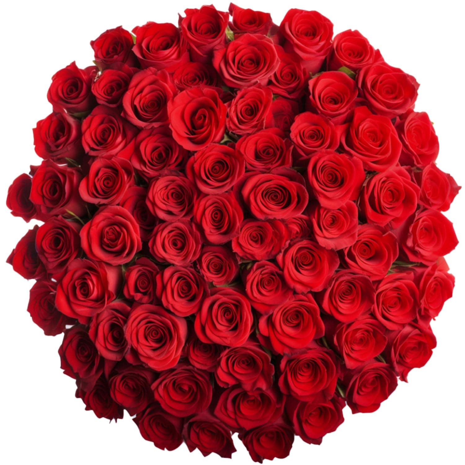 GlobalRose 100 Red Roses- Lovely Natural Blooms- Fresh Cut Flower Delivery