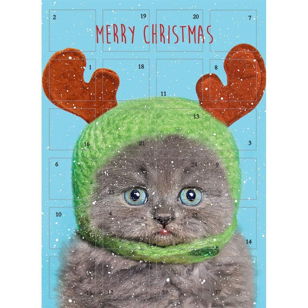 BESTHING Dog Training Collar - Dog Shock Collar 3 Training Modes, Beep, Vibration and Shock, Waterproof, Up to 1000Ft Remote Range, 1~100 Levels Dog Training Set 8111dtc01 (q4)