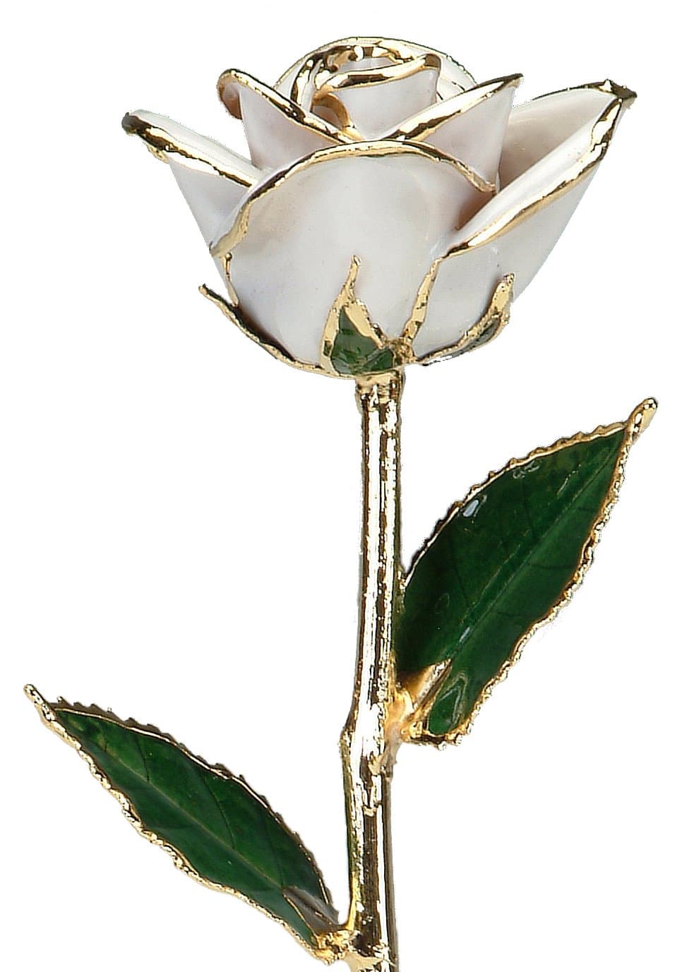 24k Gold Rose - Real Rose Dipped in Gold (Snow White)