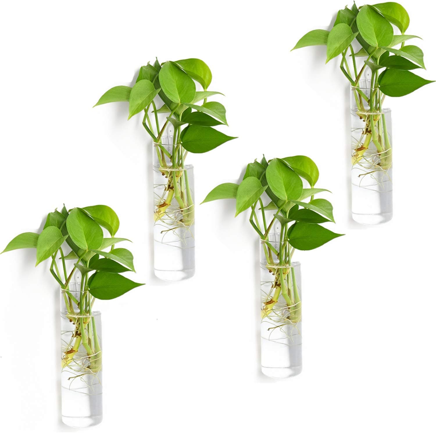 4 Pack Glass Planters, Clear, 5.9 in H x 1.85 in D, Suitable for Most Water Plants, Perfect for DIY Propagation Station, Easy to Install, Elegant and Functional