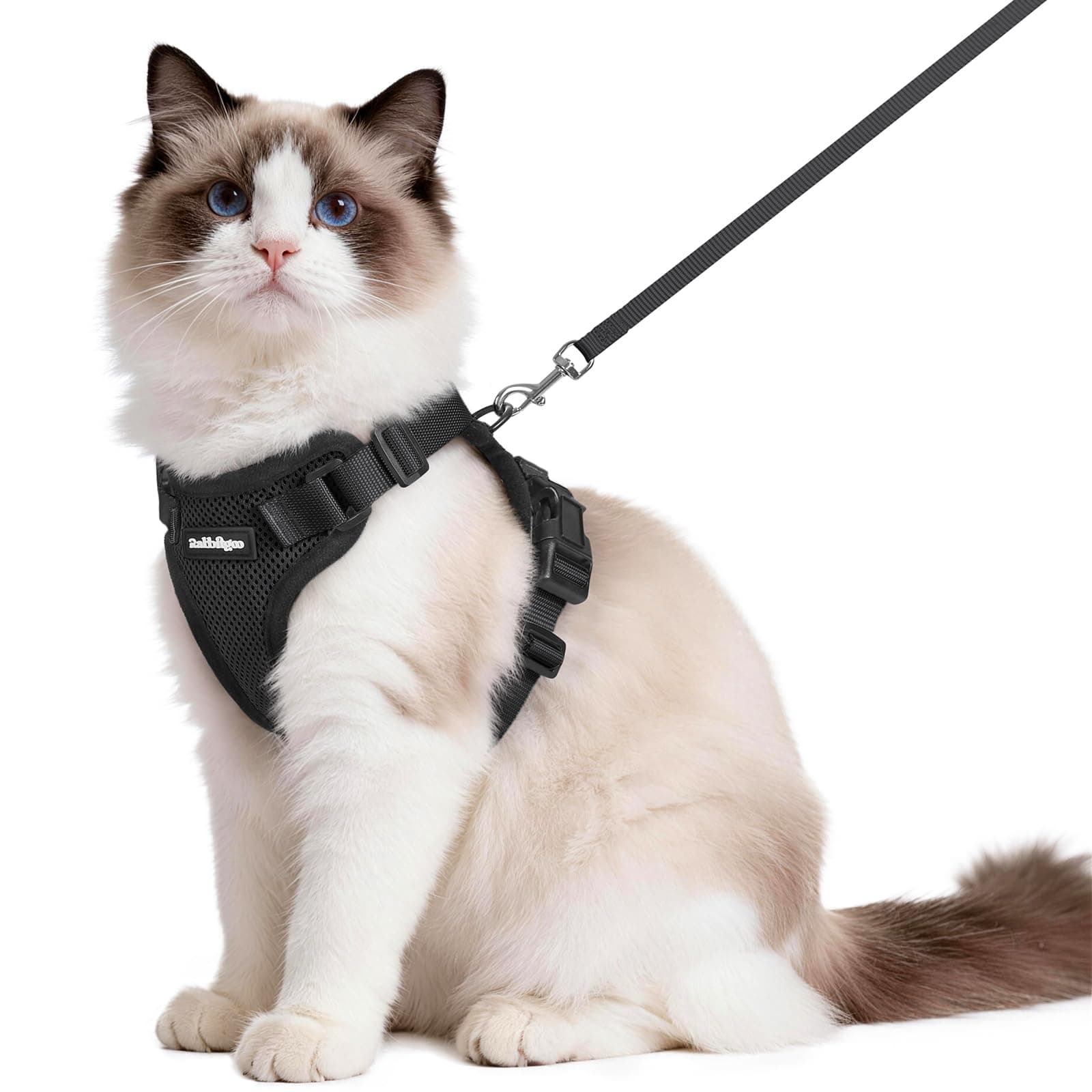 Rabbitgoo Cat Harness and Leash Set, Escape-Proof, Soft and Lightweight, Suitable for Both Cats and Dogs, for Extra Small and Small Dogs, for Walking and Disaster Evacuation, Harness and Lead, Easy to