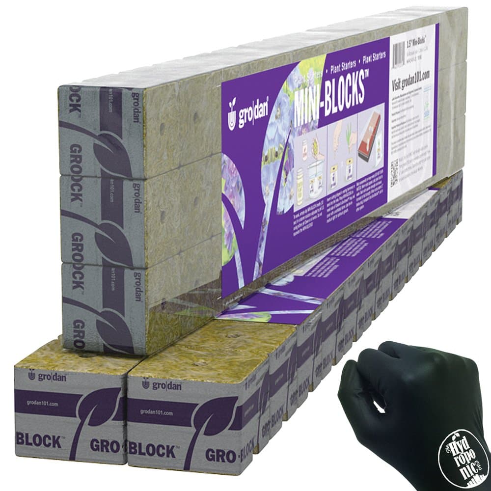 Wrapped Mini Blocks 2" x 2" x 1.5" Pack of 24