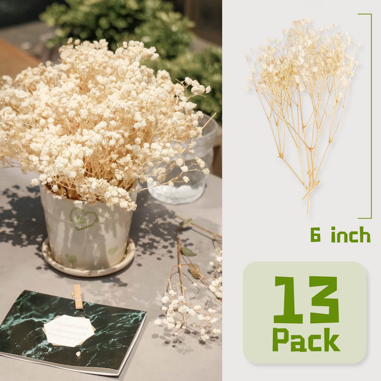 4000+ Mini Dried Baby's Breath Flowers - 65 Pcs Pressed Real Natural Gypsophila Bulk for Resin Mold Art Craft, Ivory White Flowers Bouquet for Hair Accessory, Wedding Wreath, Table Vase, Home Decor