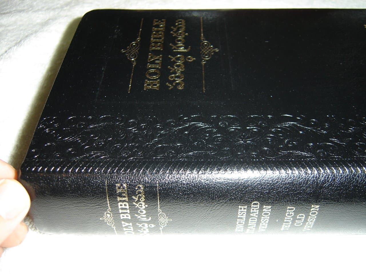 English–Telugu Bilingual Bible: English Standard Version–Telugu Old Version, Embossed Black Leather Golden Edges Leather Bound – January 1, 2015