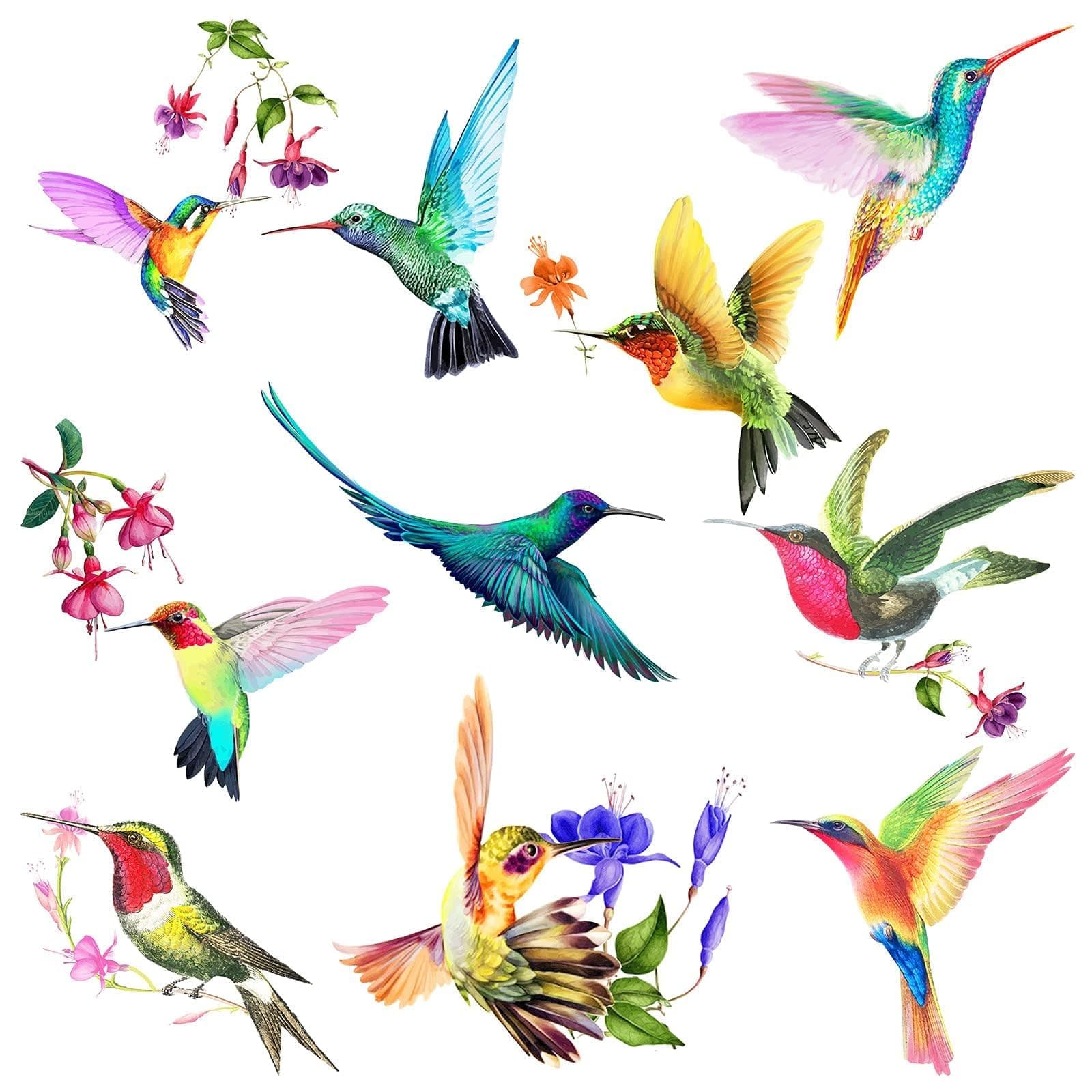 20 Pieces Large Size Hummingbird Window Hummingbird Decals for Windows Anti-Collision Window Clings Decals to Prevent Bird Strikes on Glass Non Adhesive Vinyl Cling Stickers