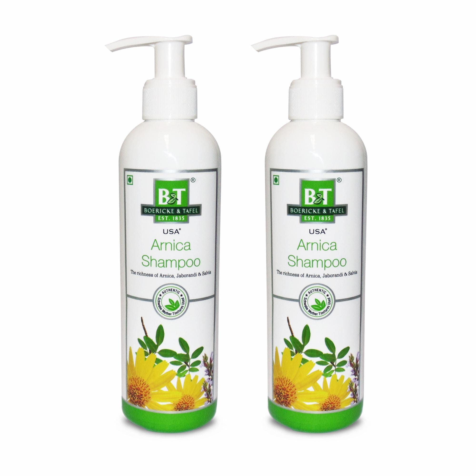 BT BOERICKE & TAFEL B&T Arnica Shampoo For Healthy Hair- 250 Ml (Pack Of 2)