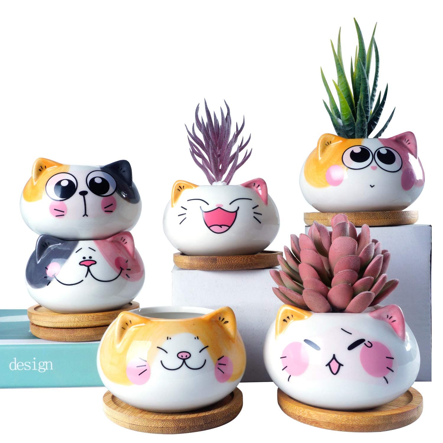 Succulent Pots with Drainage 3.6 Inch Mini Cat Pots for Plants Tiny Animal Planter Small Ceramic Air Plant Flower Pots Cactus Faux Planters Containers with Bamboo Tray