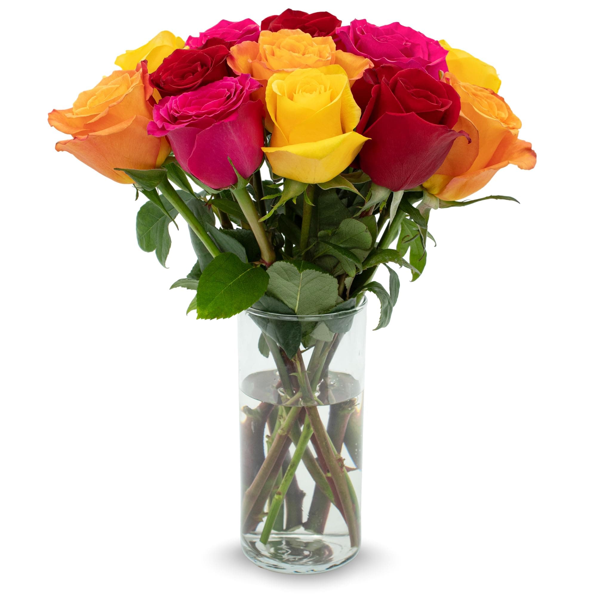 STARGAZER BARN 12 Stem Premium Rainbow Rose Bouquet (Vase Not Included) - Hand-Tied in the USA - Fresh Flower Delivery for Birthday, Anniversary, Sympathy, Home Decor, Wedding, Easter